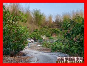誠昱/左鎮近化石園區丙建+農地