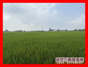 誠昱/東山區低總價方正農.