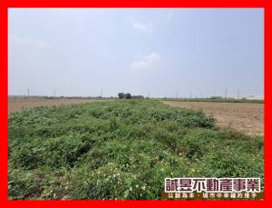 誠昱/鹽水超便宜農保地