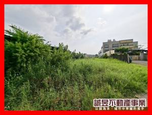 誠昱/近永大夜市都內農地.